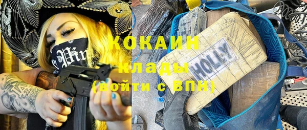 прущие грибы Аркадак