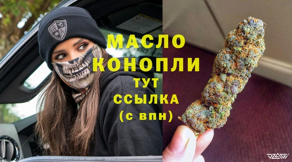 прущие грибы Аркадак