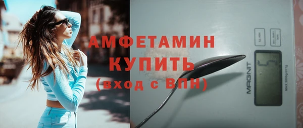 прущие грибы Аркадак