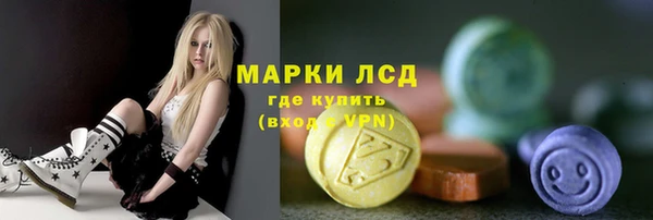 прущие грибы Аркадак