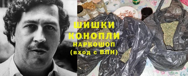 прущие грибы Аркадак