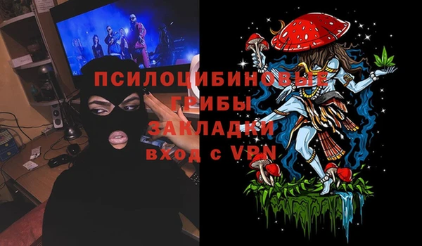 прущие грибы Аркадак