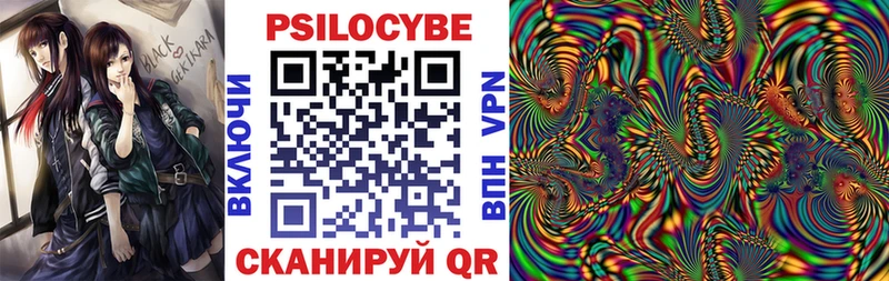 Купить где  Нея  Галлюциногенные грибы MAGIC MUSHROOMS 