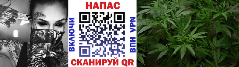 Купить закладки  Нея  МАРИХУАНА White Widow 